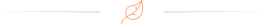 <span id="leistungen">Leistungen<span>
